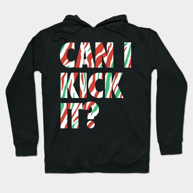 Can I Kick It Hoodie by Vortex.Merch